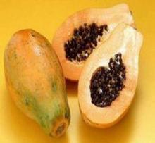 吃瓜树苗图片大全,吃瓜树苗图片大全赏鉴