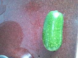 怀孕可以吃洋瓜吗,洋瓜在孕期的适宜食用与注意事项