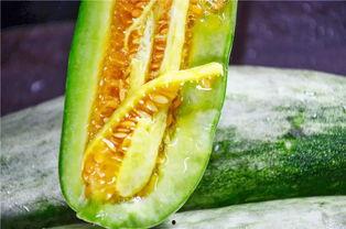 吃羊角瓜,探寻独特风味与营养奥秘