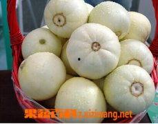 白皮瓜孕妇可以吃吗